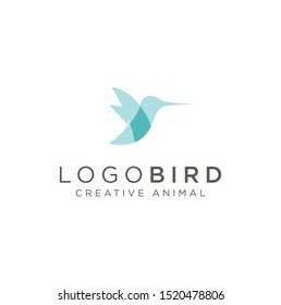 Flying Bird Logo abstract design vector template . Humming Bird Logo . Colibri Logo