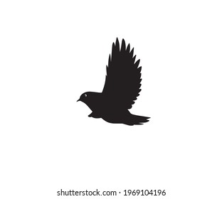 Flying bird logo crow logo design vector