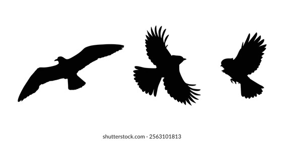 Flying bird logo design set, suitable for graphic design