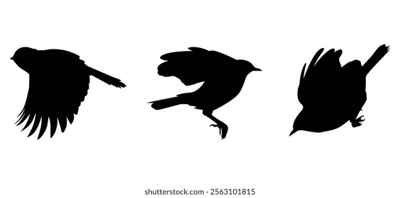 Flying bird logo design set, suitable for graphic design