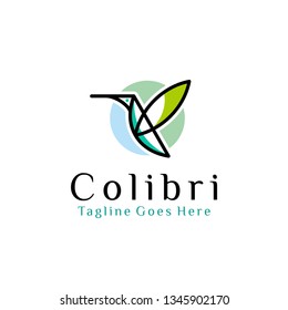 flying bird logo design template with linear concept style. vector illustration of hummingbird/colibri in outline style