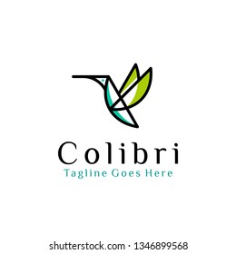 flying bird logo design template with linear concept style. vector illustration of hummingbird/colibri in outline style