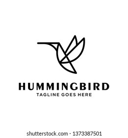 flying bird logo design template with linear concept style. vector illustration of hummingbird/colibri in outline, monoline style