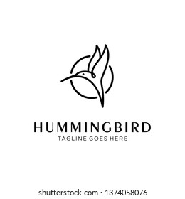 flying bird logo design template with linear concept style. vector illustration of hummingbird/colibri in outline, monoline style