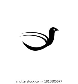 Flying bird logo design template. Bird Icon Design.