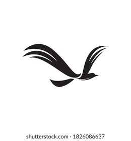 Fliegende Vogel Logo-Design, Vektorvorlage. Taube-Logotype-Konzeptsymbol