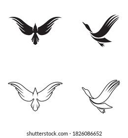Flying Bird Logo design vector template. Dove Pigeon Logotype concept icon