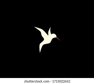 Flying bird on black background.