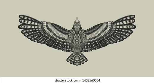 Flying bird on the grey background. Hand drawn owl. Vector isolated illustration. Sketch for print t shirt and tattoo art. Symbol of freedom.