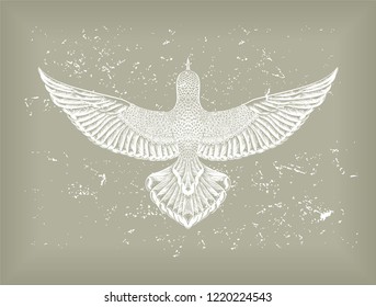 Flying bird on the grey ground. Engraved hummingbird. Vector isolated illustration. Sketch of tattoo art. 