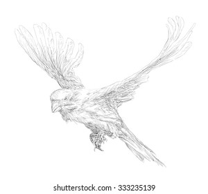 Flying bird over white background vector illustration 
