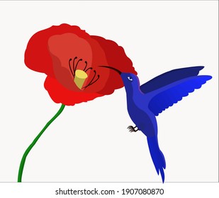 A flying bird and a red poppy.