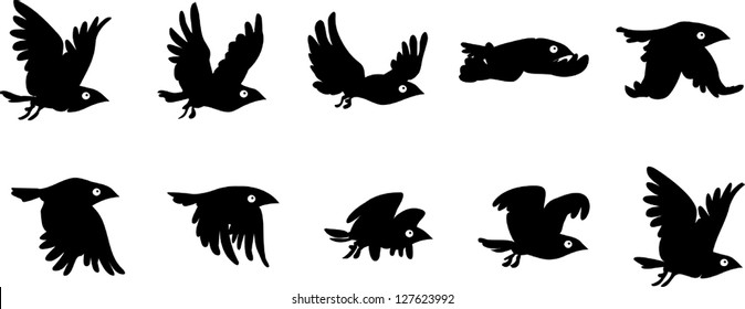 Flying bird sequence