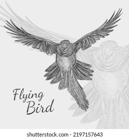 flying bird shape vector abstract line design