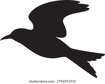 Flying bird silhouette avian creature animal freedom wildlife.