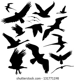 Flying Bird Silhouette Collection. EPS 8 vector, grouped for easy editing. No open shapes or paths.