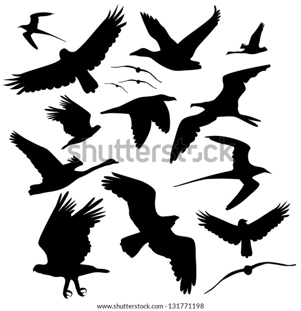 Flying Bird Silhouette Collection. EPS 8 vector, grouped for easy