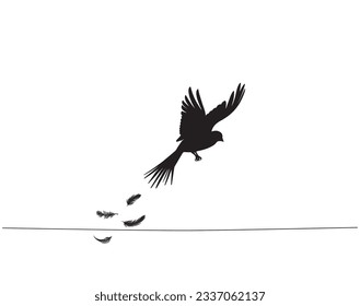 Silueta de pájaro volador y plumas cayendo, Vector, diseño de afiches minimalista negro y blanco aislado sobre fondo blanco. Diseño escandinavo. Decoración de pared, decoración Art