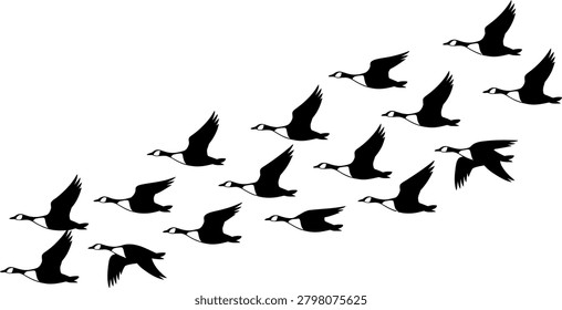 Flying Bird Silhouette Flock Vector Bird