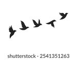 Flying Bird Silhouette icon. Sequence of Bird in Motion