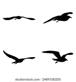 Diseño de Ilustración vectorial de icono de silueta de pájaro volador