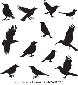 Flying  bird Silhouette icon Vector Images 