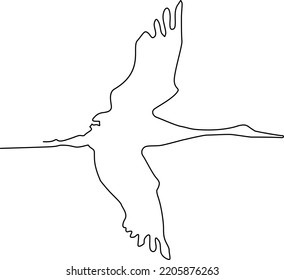 Línea de silueta de ave voladora. Dibujo continuo de líneas. Ilustración vectorial.
