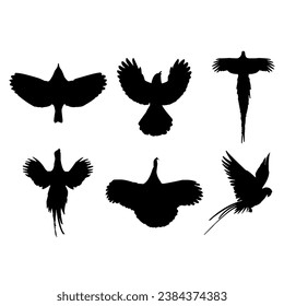 Flying bird silhouette set design inspiration vector illustration.