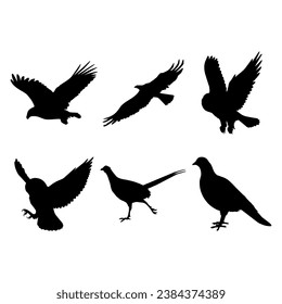 Flying bird silhouette set design inspiration vector illustration.