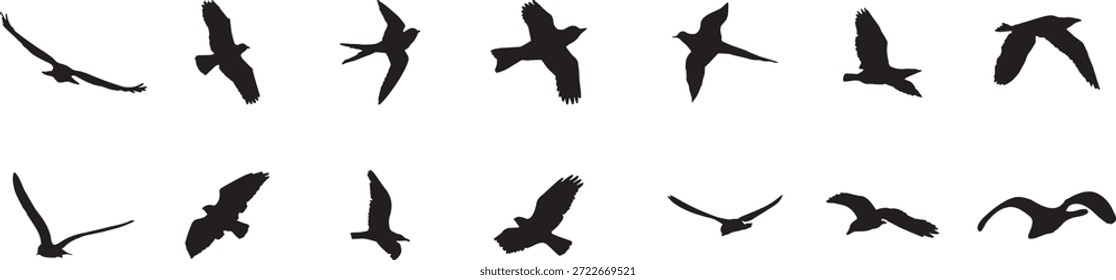 Conjunto de silueta de pájaro volador con poses de alas dinámicas y movimiento natural. Las Formas negras de aves aisladas en blanco capturan la libertad, la migración y el movimiento del cielo. Perfecto para temas de naturaleza, diseño de vida silvestre y gráficos decorativos.