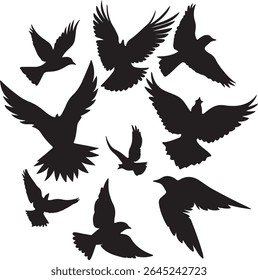 Flying Bird Silhouette Set – multiple birds in flight with varied wing positions