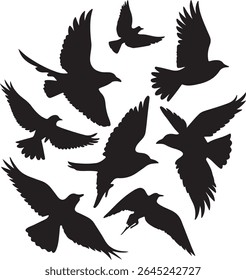 Flying Bird Silhouette Set – multiple birds in flight with varied wing positions