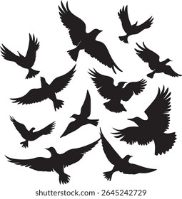 Flying Bird Silhouette Set – multiple birds in flight with varied wing positions