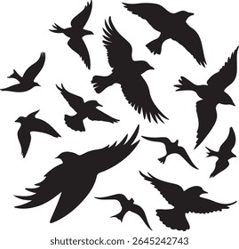 Flying Bird Silhouette Set – multiple birds in flight with varied wing positions