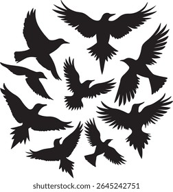 Flying Bird Silhouette Set – multiple birds in flight with varied wing positions