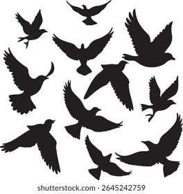 Flying Bird Silhouette Set – multiple birds in flight with varied wing positions
