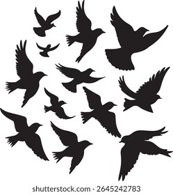 Flying Bird Silhouette Set – multiple birds in flight with varied wing positions