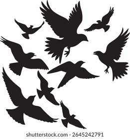 Flying Bird Silhouette Set – multiple birds in flight with varied wing positions