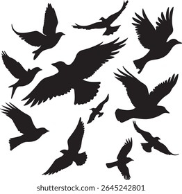 Flying Bird Silhouette Set – multiple birds in flight with varied wing positions