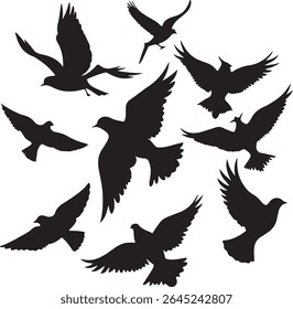 Flying Bird Silhouette Set – multiple birds in flight with varied wing positions