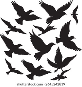 Flying Bird Silhouette Set – multiple birds in flight with varied wing positions