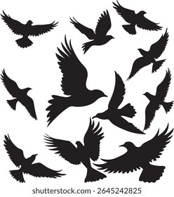 Flying Bird Silhouette Set – multiple birds in flight with varied wing positions