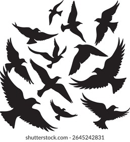 Flying Bird Silhouette Set – multiple birds in flight with varied wing positions