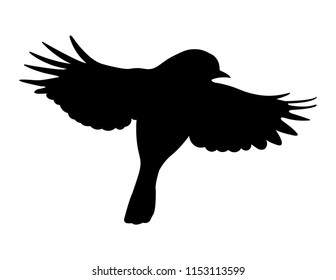 Flying Bird Silhouette Vector