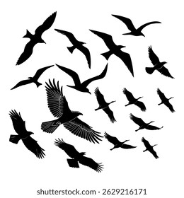 Flying Bird Silhouette Vector Birds in Black Silhouettes