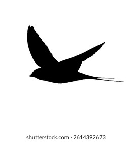 flying bird silhouette vector illustration