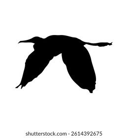 flying bird silhouette vector illustration