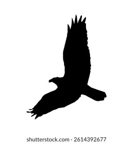 flying bird silhouette vector illustration