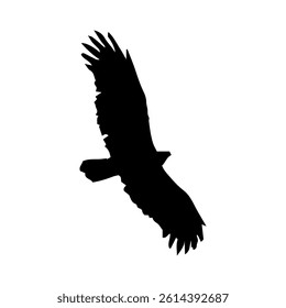 flying bird silhouette vector illustration