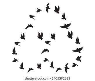 Flying bird silhouettes isolated on a white background, vector. A flock of birds flying in circles, illustration. Scale to any size. EPS 10 format. Black and white art design